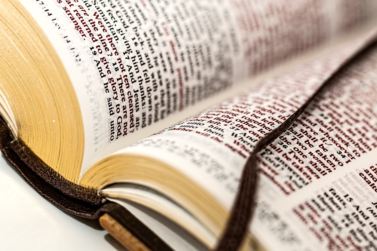 open book, bible, scripture-981405.jpg